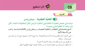 تحضير نص الخلية العجيبة للسنة الثانية متوسط